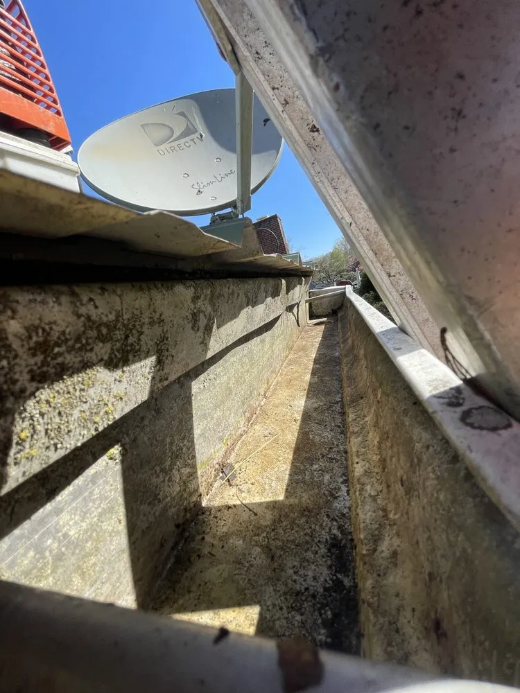 Local lawn care service for year-round maintenance in Christiansburg, VA by Little Bear Lawn Care