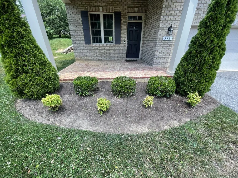 Professional yard cleanup service in Christiansburg, VA - Little Bear Lawn Care