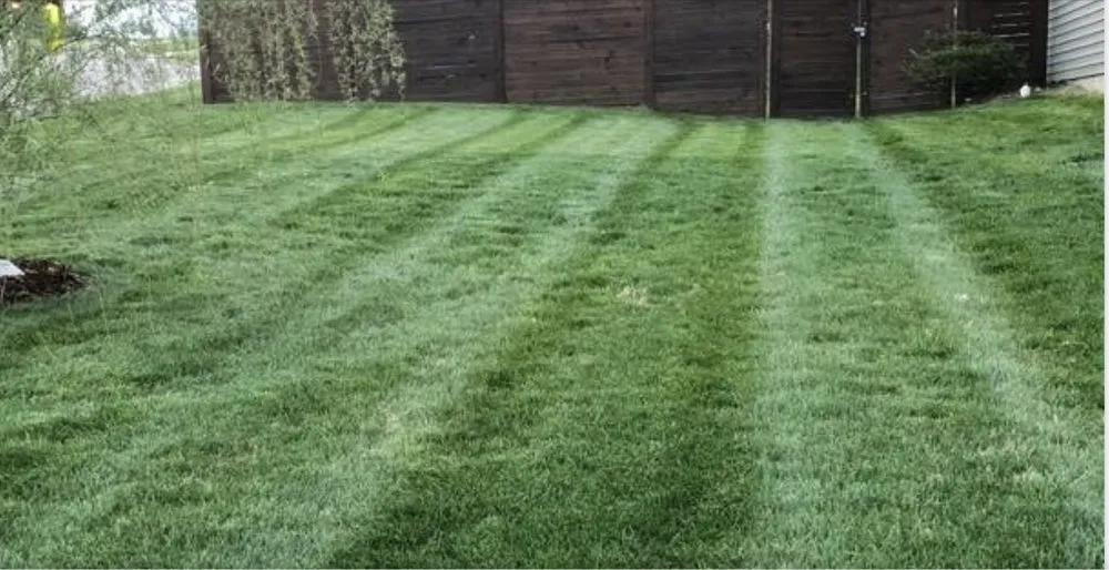 Top-rated landscape installation for year-round maintenance across Lincoln, NE - Little Bear Outdoor Services