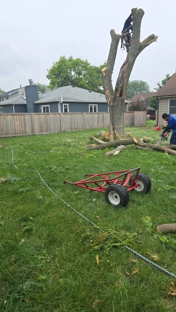 Expert garden landscaping experts serving Aurora, IL - Little Bird Tree Service