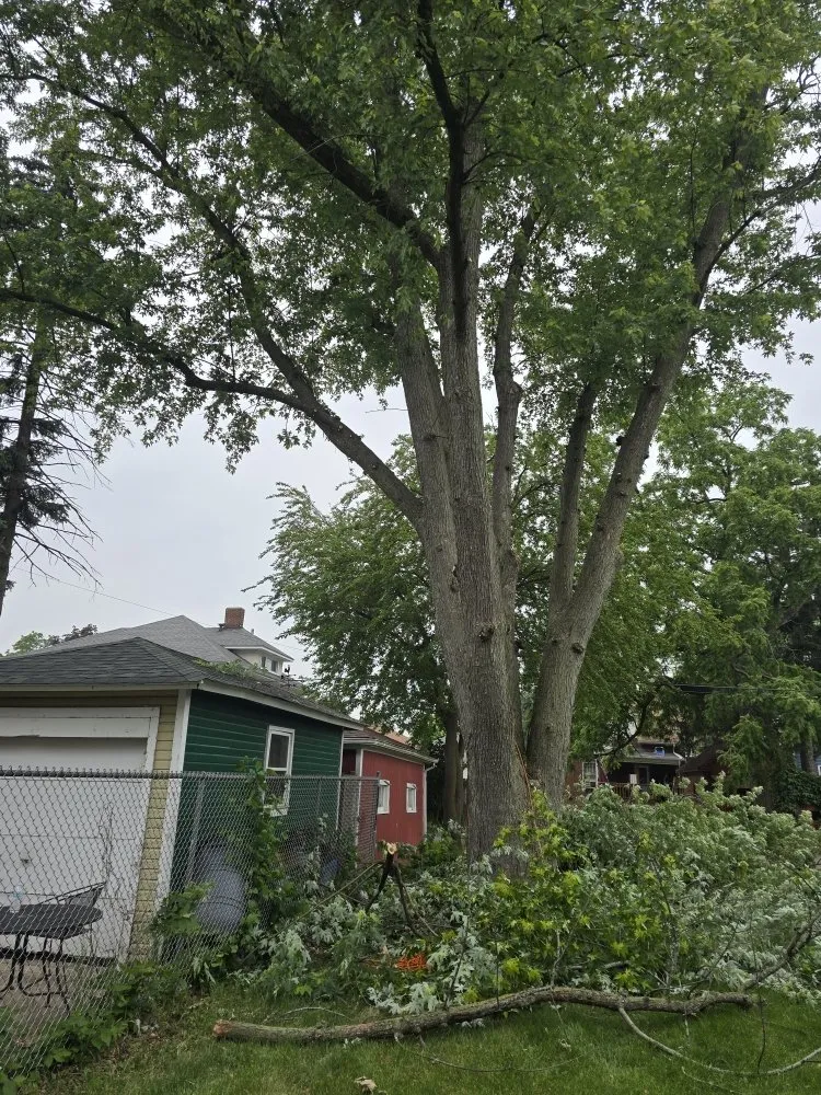 Reliable garden landscaping for year-round maintenance in Aurora, IL by Little Bird Tree Service