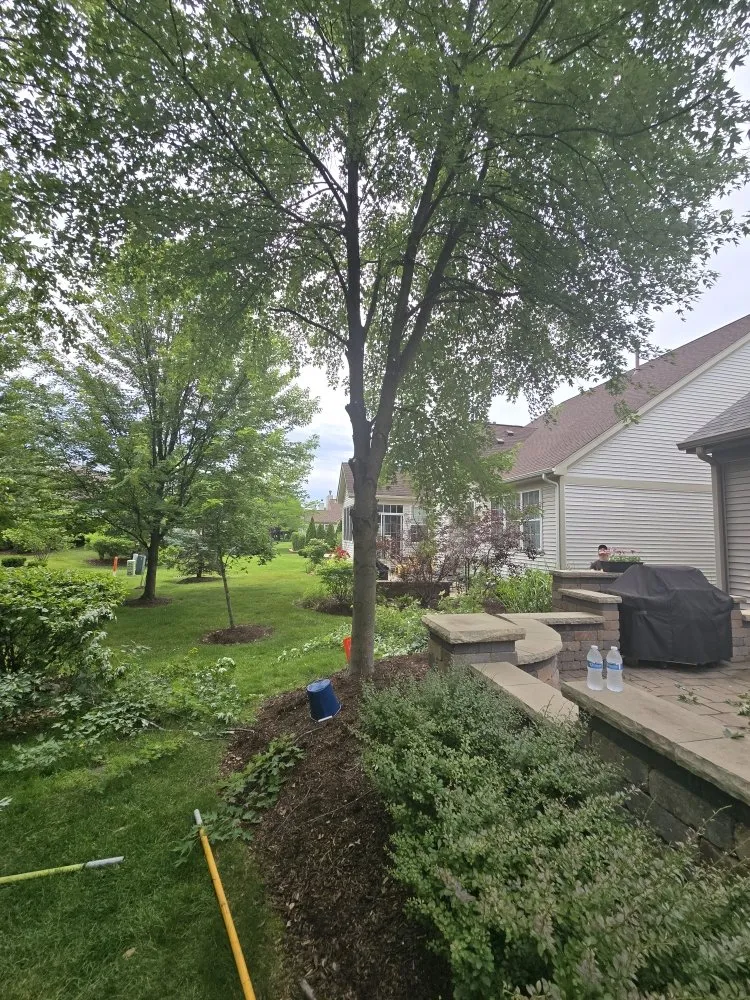 Trusted landscaping services experts serving Aurora, IL - Little Bird Tree Service