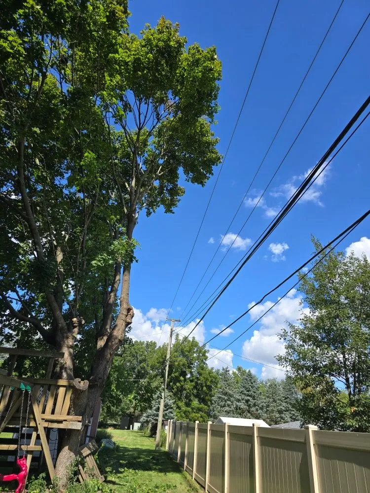 Top-rated garden landscaping for residential properties in Aurora, IL by Little Bird Tree Service