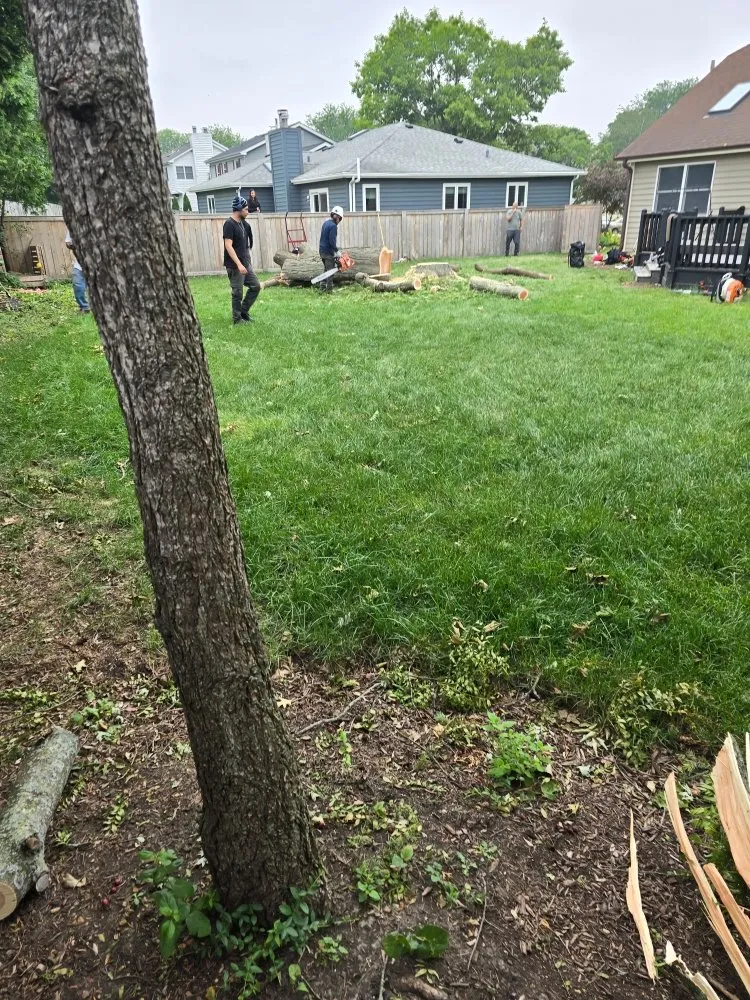 Custom landscape design near you in Aurora, IL by Little Bird Tree Service