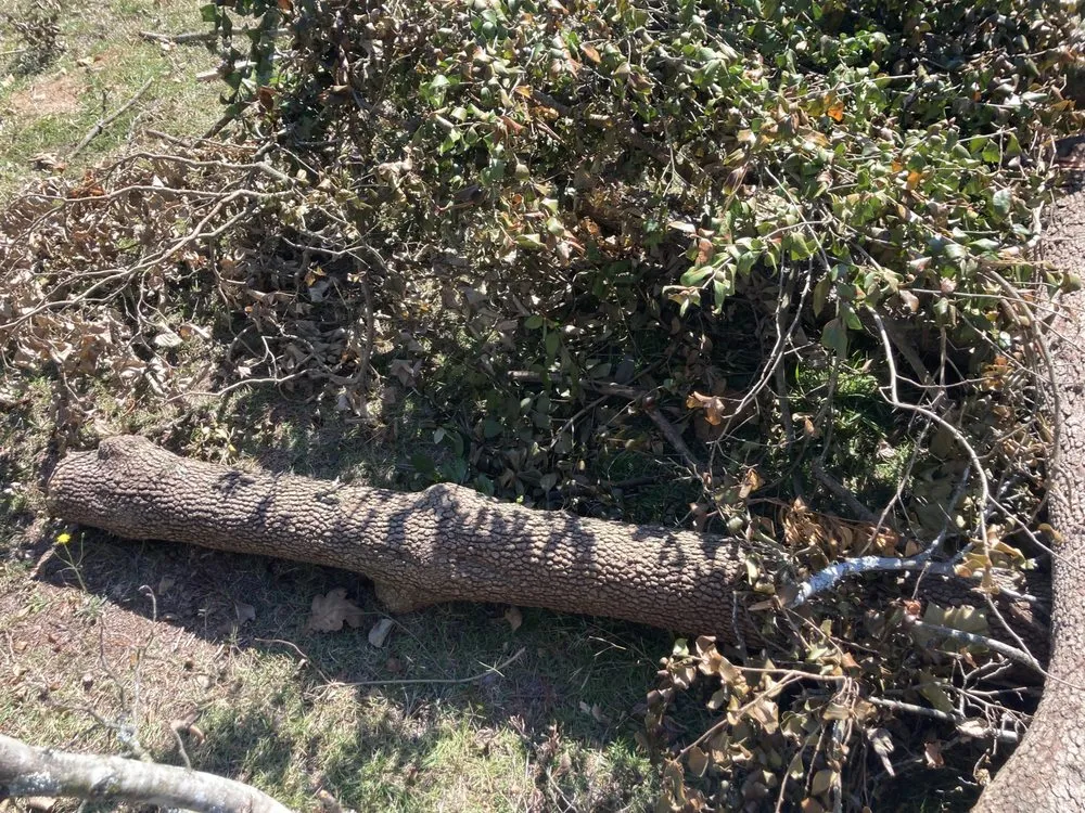 Local lawn care service in Raeford, NC by Little Brother Landscaping & Lawn Care