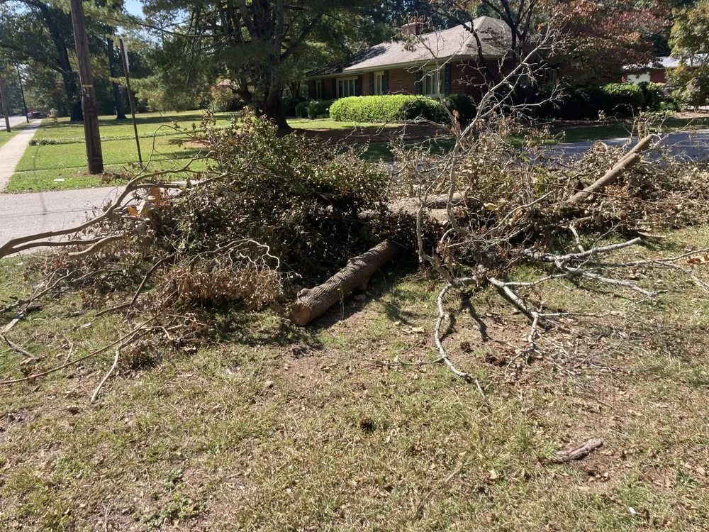 Expert landscaping services for beautiful yards in Raeford, NC by Little Brother Landscaping & Lawn Care