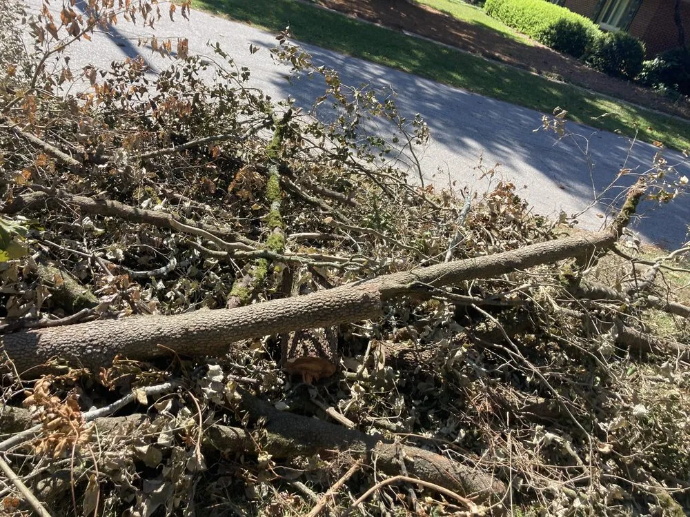 Trusted yard maintenance in Raeford, NC - Little Brother Landscaping & Lawn Care