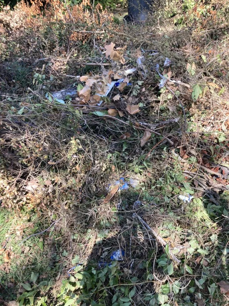 Local lawn care service in Raeford, NC - Little Brother Landscaping & Lawn Care