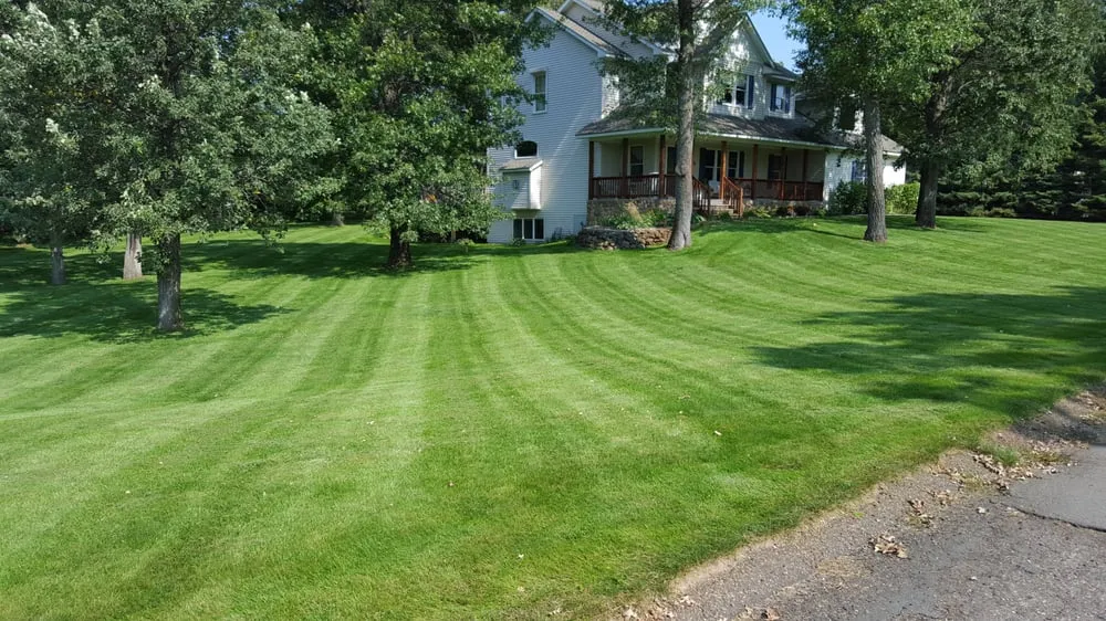 Expert lawn mowing service in Blaine, MN - Little Buddies Services