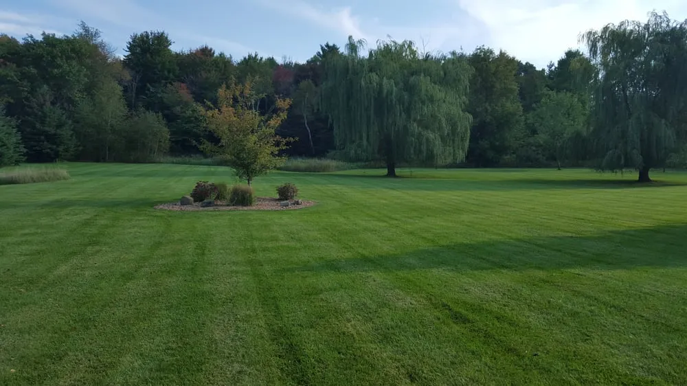 Trusted yard maintenance experts serving Blaine, MN - Little Buddies Services