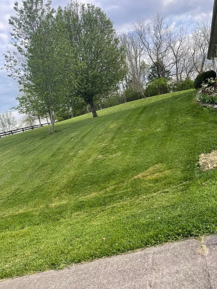 Affordable landscape installation for residential properties across Harrodsburg, KY - Little Bush Lawn Service