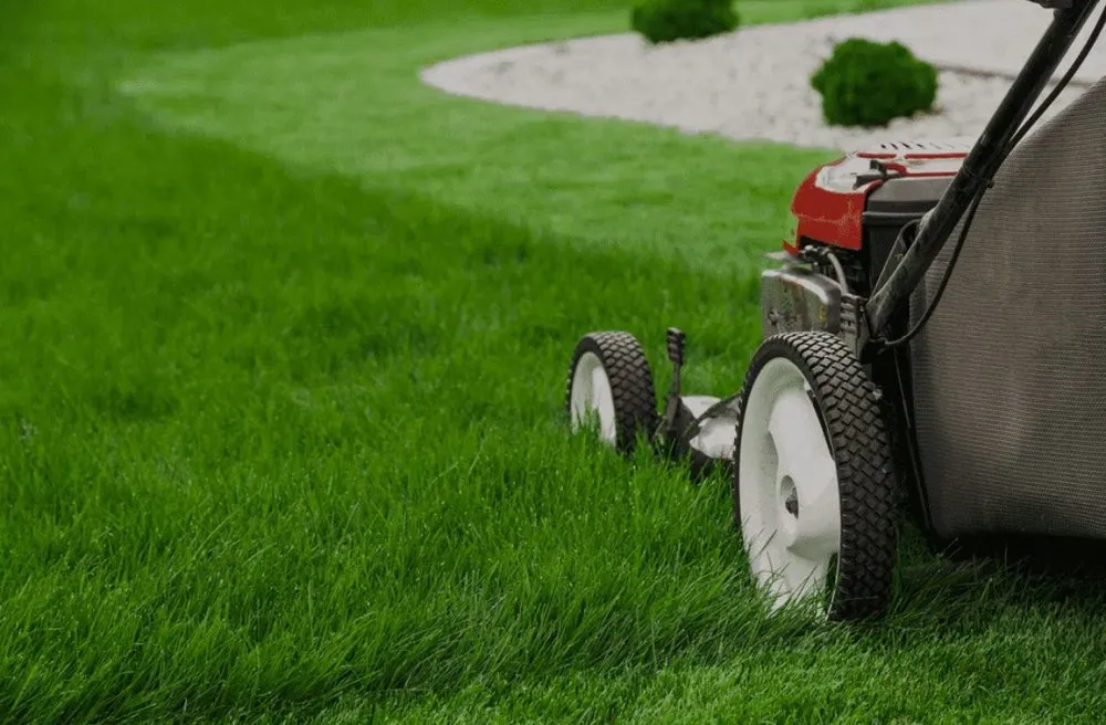 Affordable outdoor landscaping for beautiful yards across Ingleside, TX - Little Chateau