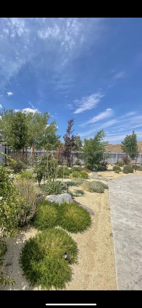 Custom yard cleanup service experts serving Reno, NV - Little City Landscape