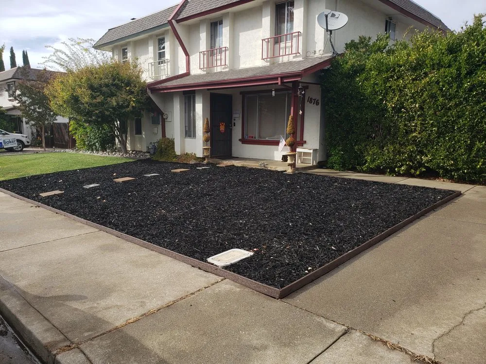 Custom yard cleanup service in Tracy, CA by Little Dog Landscaping