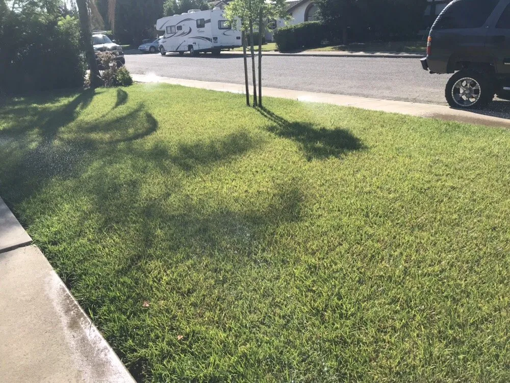 Trusted outdoor landscaping with custom design across Tracy, CA - Little Dog Landscaping