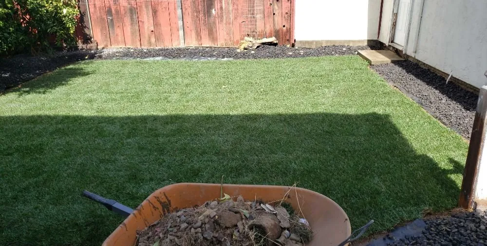 Local yard maintenance for homes across Tracy, CA - Little Dog Landscaping