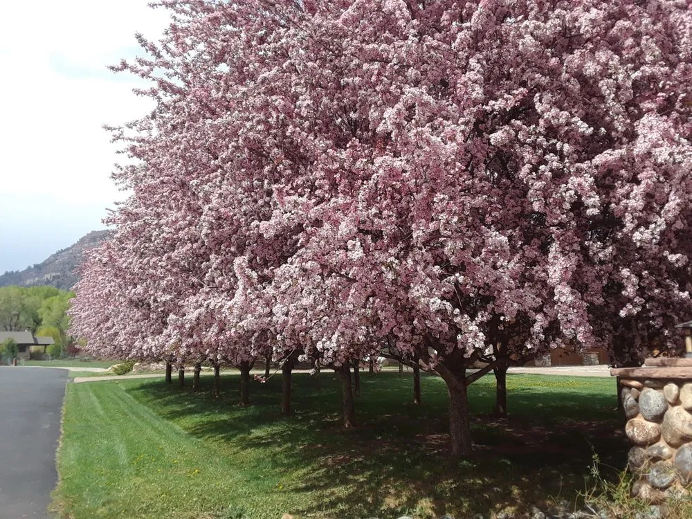 Trusted garden landscaping with custom design in Durango, CO by Little Elk Landscapes