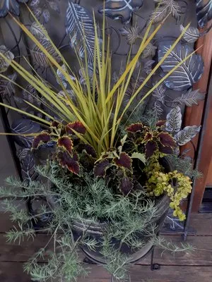 Little Elk Landscapes Logo