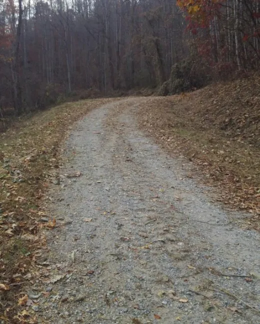 Trusted yard cleanup service experts serving SYLVA, NC - Little Foot Brush Cutting & Excavating