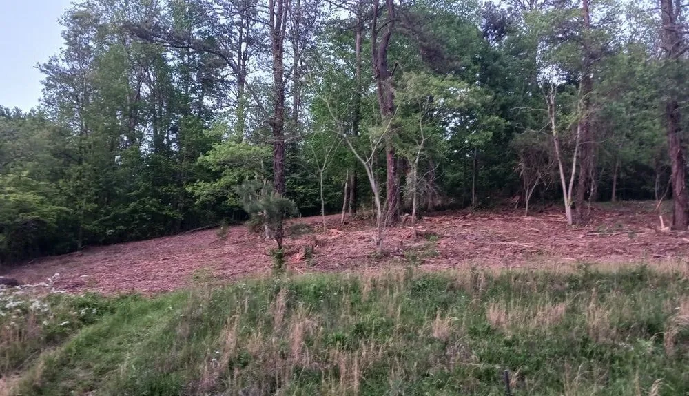 Trusted landscape design near you in SYLVA, NC by Little Foot Brush Cutting & Excavating