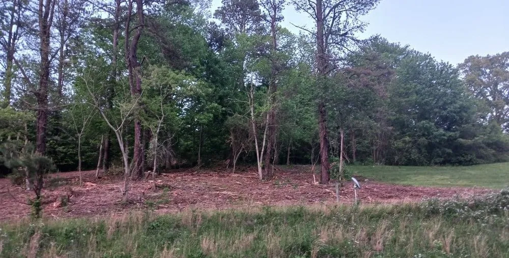 Trusted landscaping services for beautiful yards in SYLVA, NC by Little Foot Brush Cutting & Excavating