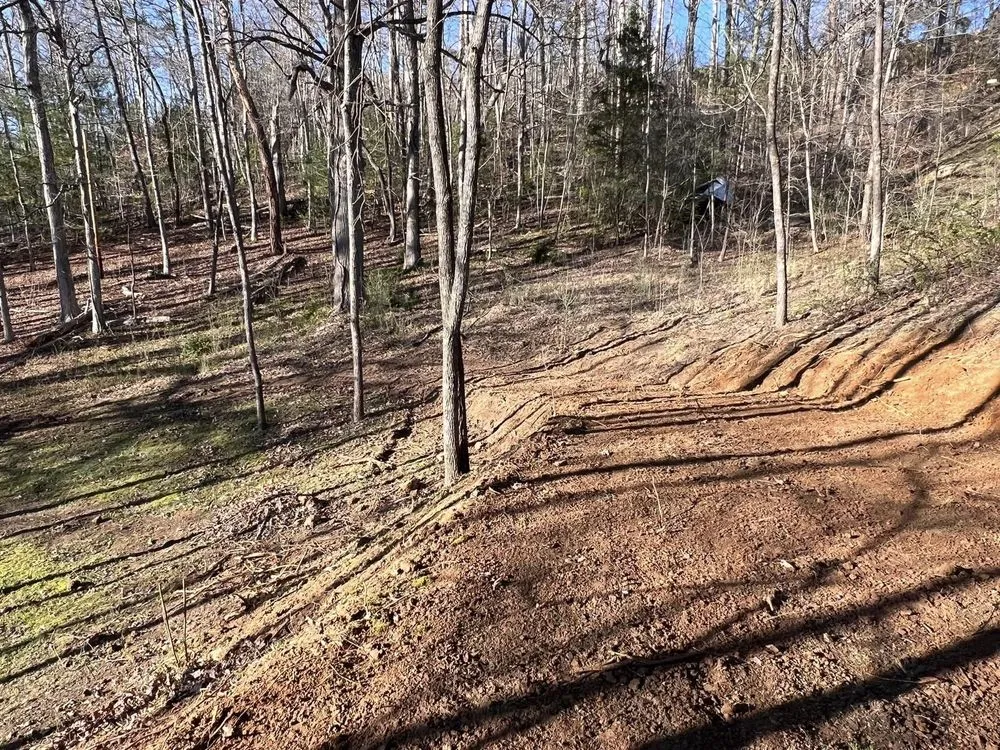 Affordable landscaping services in SYLVA, NC - Little Foot Brush Cutting & Excavating