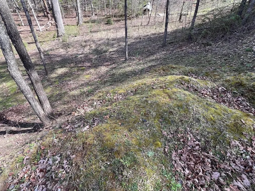 Expert landscape design near you in SYLVA, NC by Little Foot Brush Cutting & Excavating