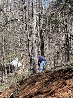 Little Foot Brush Cutting & Excavating