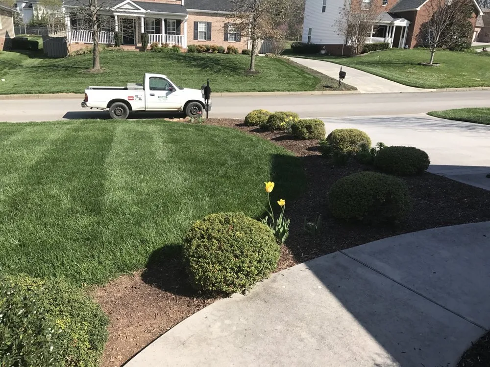Local outdoor landscaping experts serving Knoxville, TN - Little Green Garden