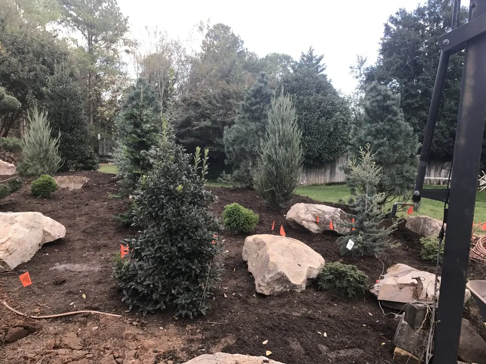 Trusted yard cleanup service experts serving Knoxville, TN - Little Green Garden