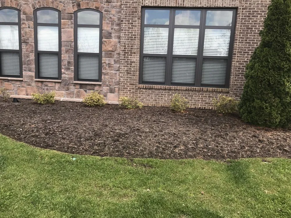 Custom landscape design for year-round maintenance across Knoxville, TN - Little Green Garden