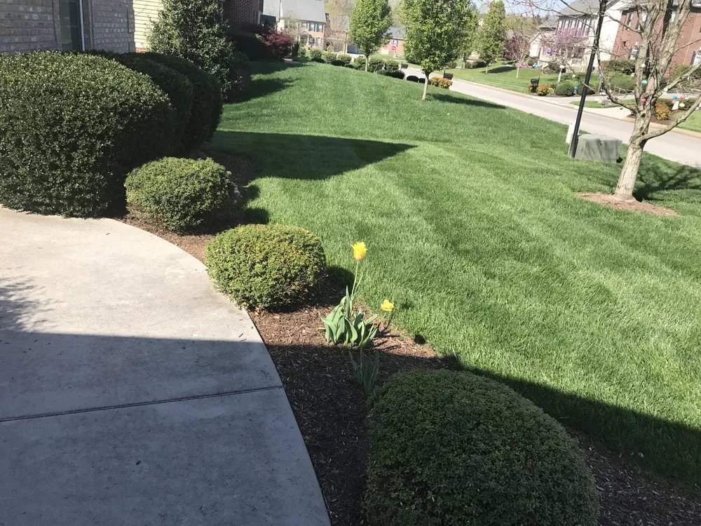 Affordable landscape installation with custom design in Knoxville, TN by Little Green Garden