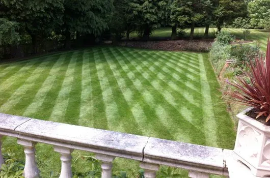 Local landscape design experts serving Nashville, TN - Little Greens Mowing And Landscaping