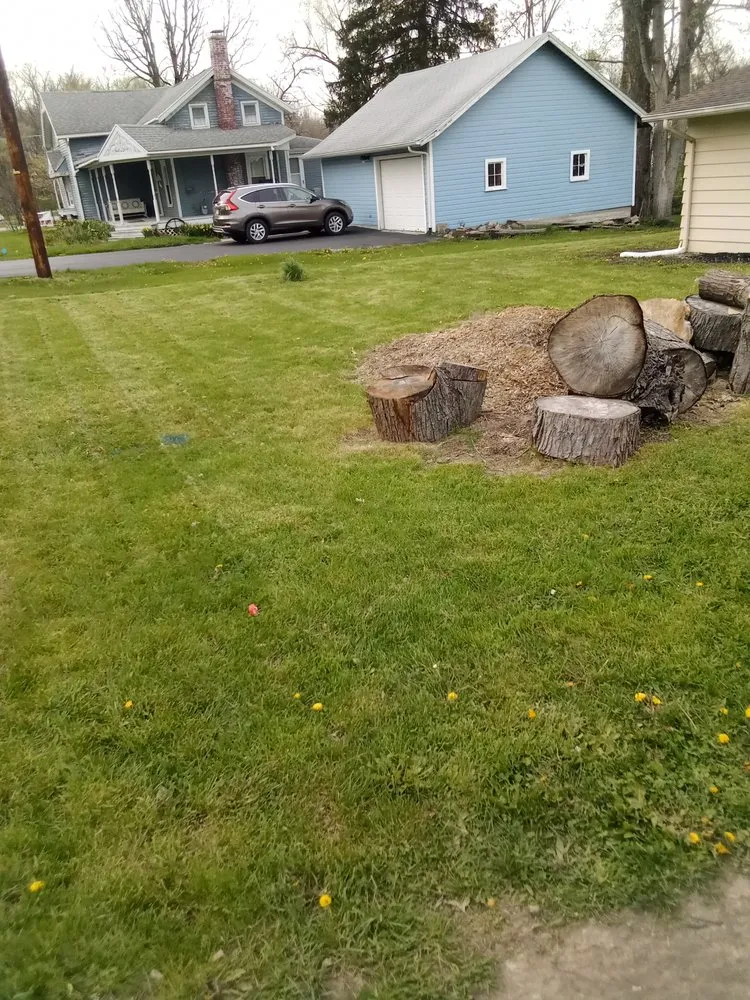 Trusted landscaping services experts serving Fort Wayne, IN - Little Guy Mowing