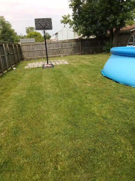 Custom yard cleanup service experts serving Fort Wayne, IN - Little Guy Mowing