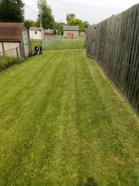 Professional landscape installation for homes across Fort Wayne, IN - Little Guy Mowing