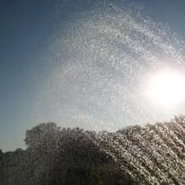 Custom lawn care service in Vancouver, WA - Little Guy's Landscape & Irrigation