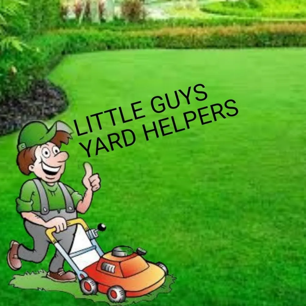 Expert residential landscaping in Berthoud, CO by Little Guys Yard Helpers