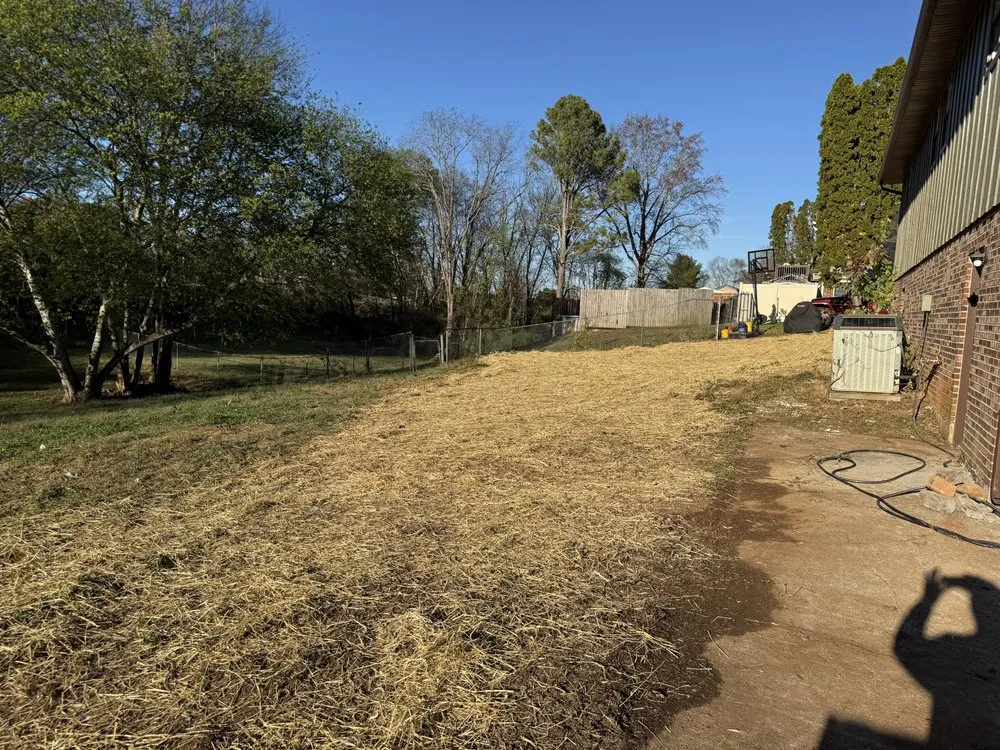 Professional lawn care service for outdoor upgrades across Maryville, TN - Little Haven Farms