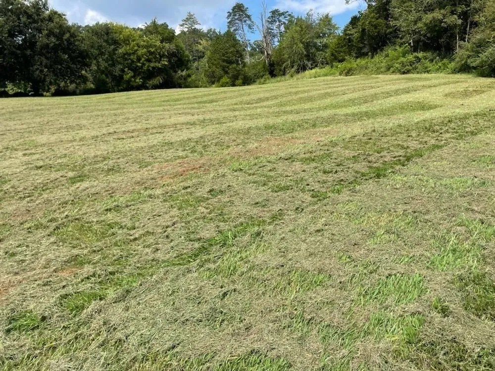 Custom yard cleanup service for beautiful yards across Maryville, TN - Little Haven Farms