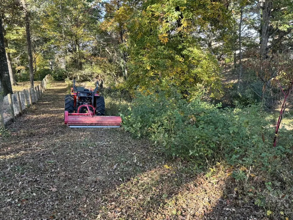 Professional landscape design for homes in Maryville, TN by Little Haven Farms