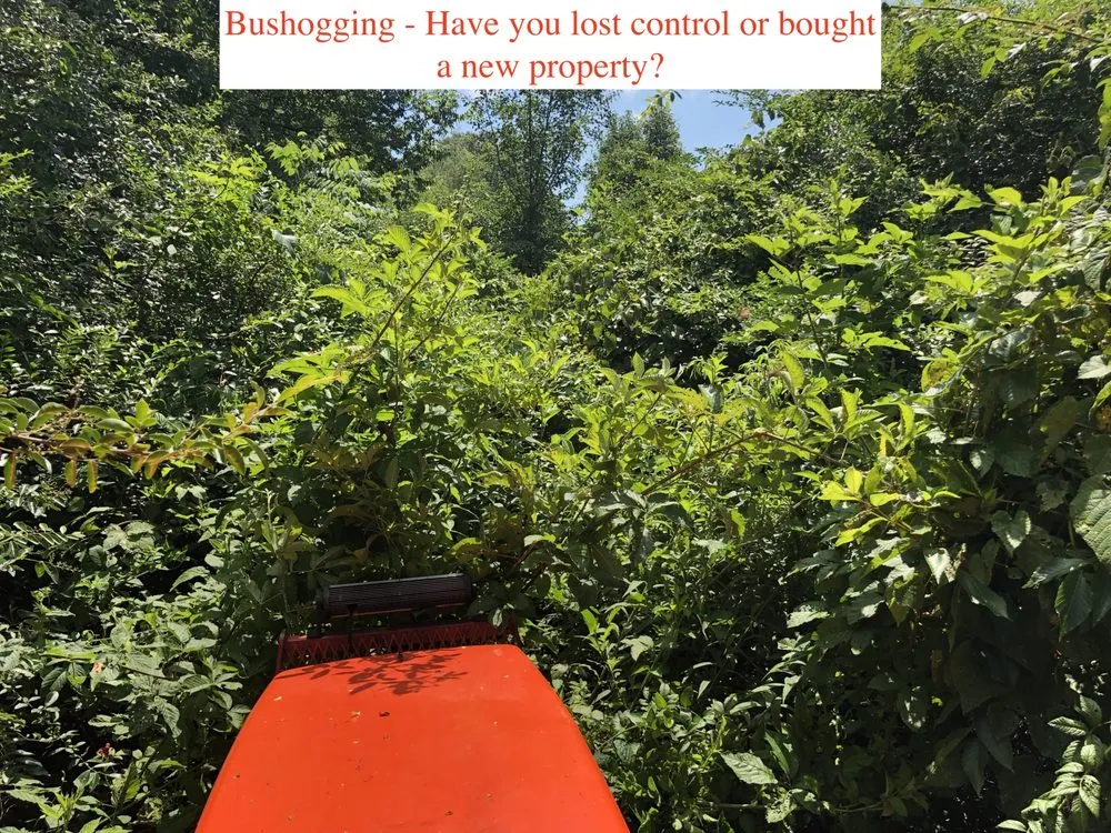 Professional garden landscaping in Maryville, TN by Little Haven Farms