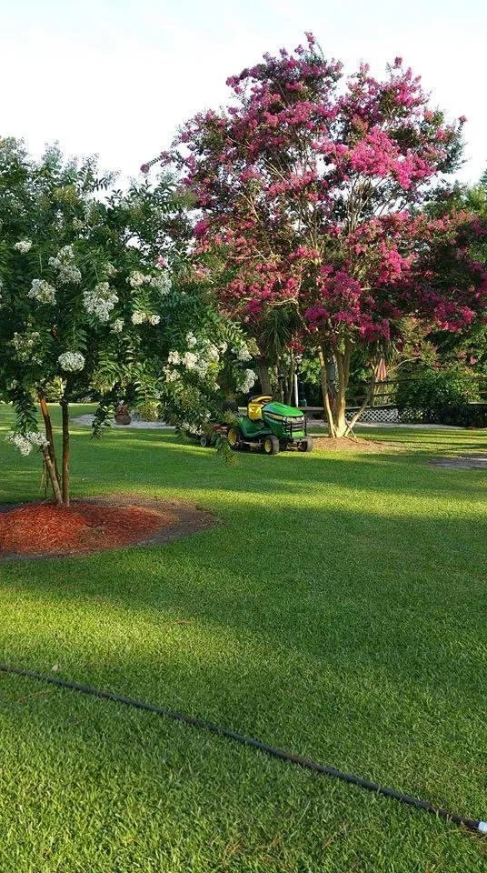 Custom landscaping services experts serving Jacksonville, NC - Little Jim's Landscaping