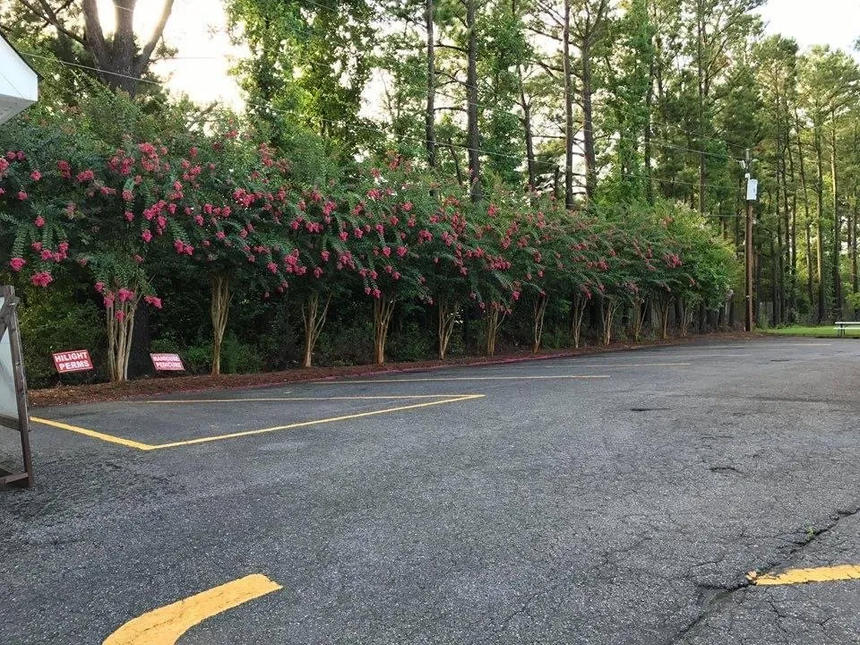 Professional residential landscaping for homes in Jacksonville, NC by Little Jim's Landscaping