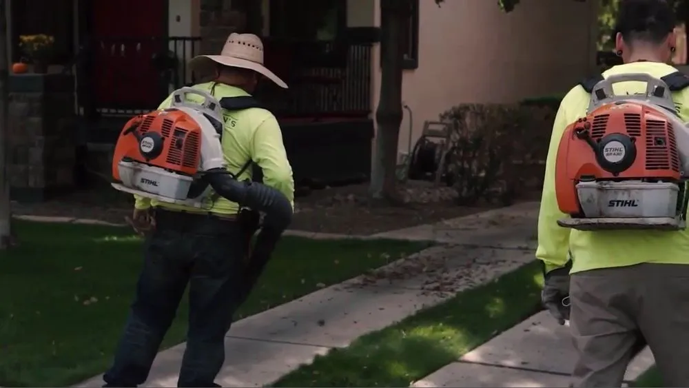 Professional landscape design in Mesa, AZ - Little John's Lawns