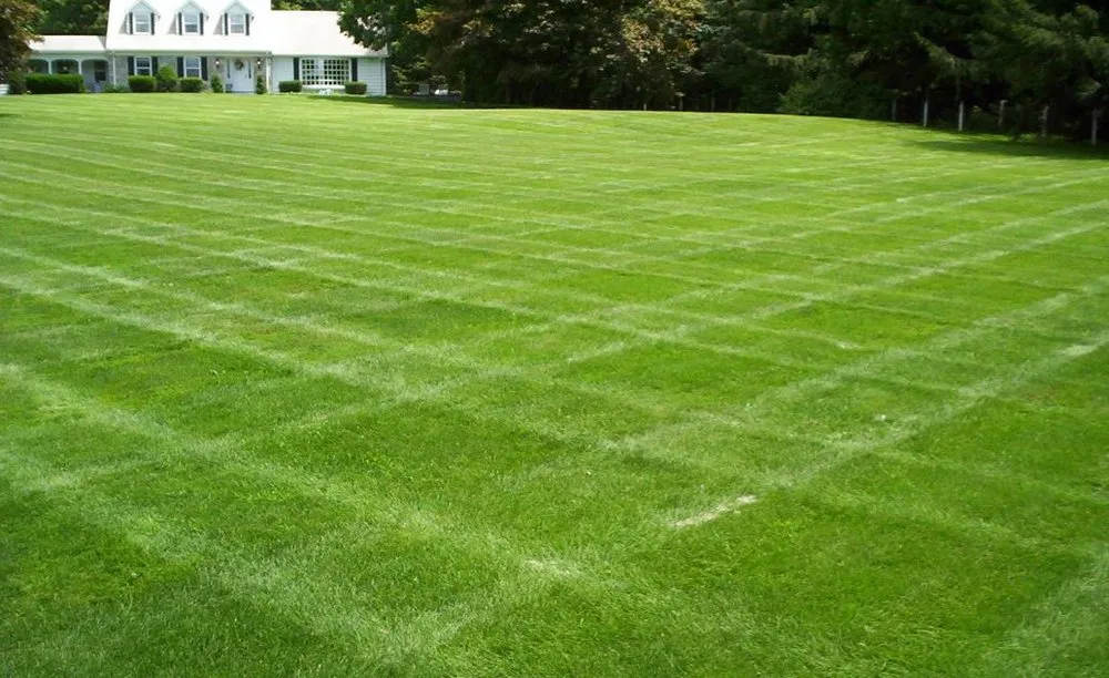 Expert outdoor landscaping in Opelika, AL by Little J's Lawn Maintenance