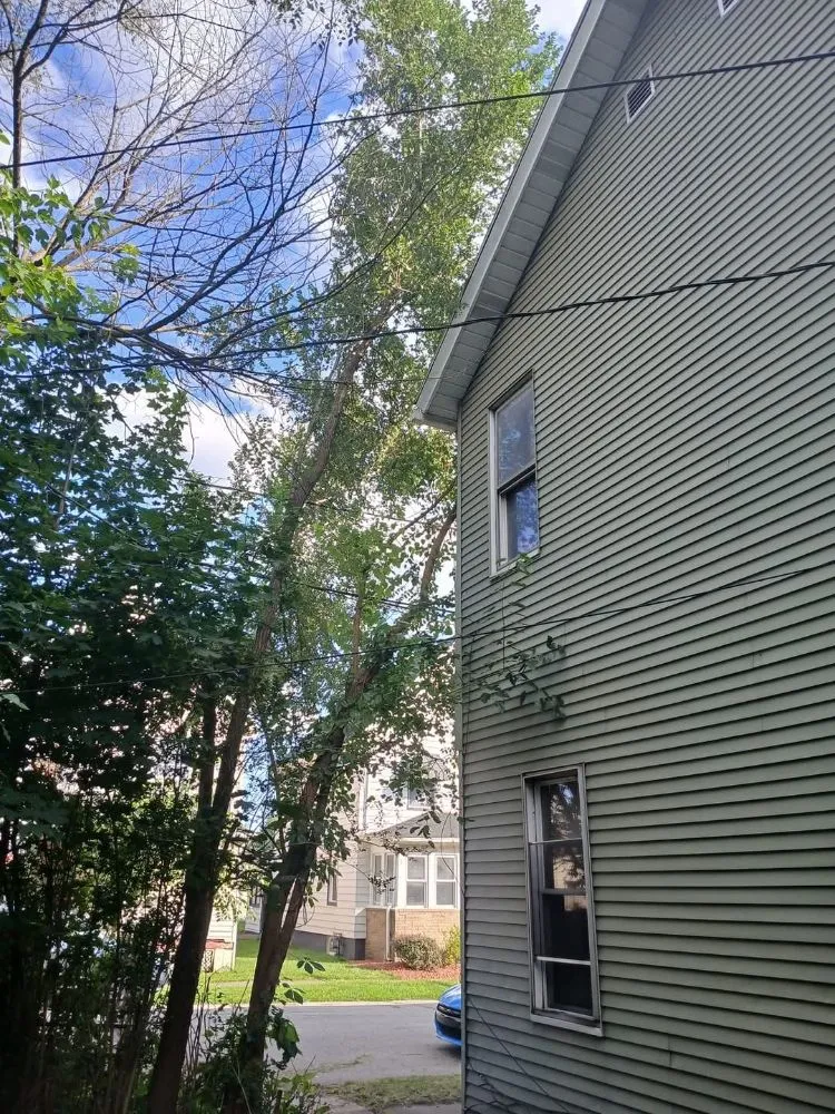 Reliable lawn care service with custom design across New Castle, PA - Little Lands Landscaping and Tree Service