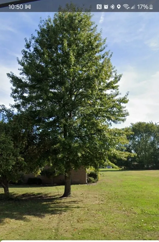 Custom lawn mowing service in New Castle, PA by Little Lands Landscaping and Tree Service