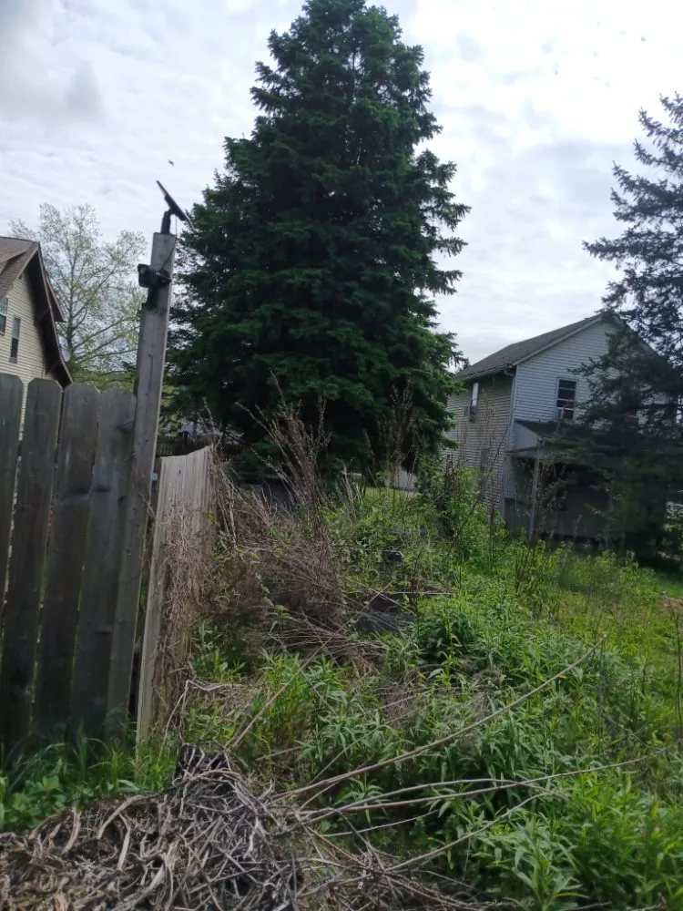 Reliable residential landscaping in New Castle, PA by Little Lands Landscaping and Tree Service