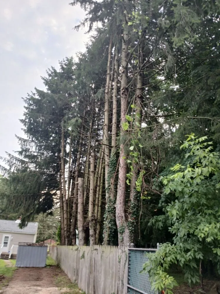 Custom landscape installation in New Castle, PA by Little Lands Landscaping and Tree Service